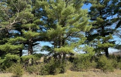 Lot 2 N 200 W, Rensselaer, IN 47978