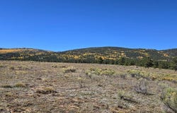 Angel Fire, NM 87710