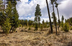 1243 Tobacco Valley View Road, Eureka, MT 59917