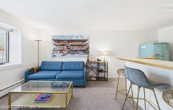 119 E Cooper Avenue, Aspen, CO 81611