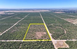 20 1/2 Avenue, Madera, CA 93638