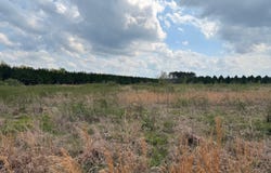 Hwy 172, Monticello, AR 71655