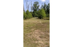 31187 Pace Ln, Walker, LA 70785