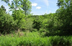 1779 Packard Rd, Covington, PA 16917