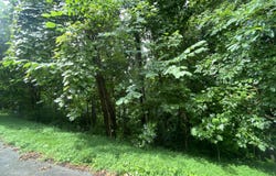 Eagle's Cove Parkway, Maynardville, TN 37807