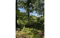 122 Post Oak Road, Tunas, MO 65764