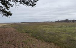 Nc 99, Pantego, NC 27860