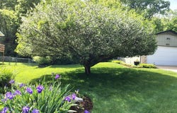 4265 Lorien Trail, Arnold, MO 63010