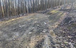 Stony Hill Road, Scio, NY 14880