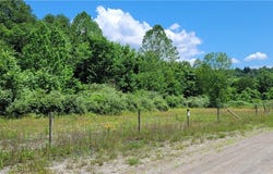 Bailey Long Rd, Bethesda, OH 43719