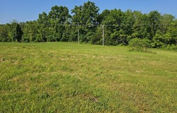 Lot 7 Fox Haven Drive, Mt Vernon, MO 65712