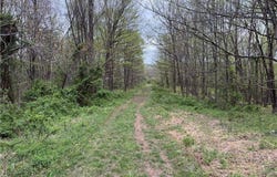 Bendview Road, Ravenswood, WV 26164