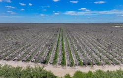 Kimberlina Road, McFarland, CA 93250