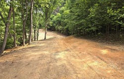 Karen Lane, Pinnacle, NC 27043