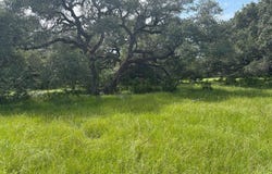 Frantz Road, Cat Spring, TX 78933
