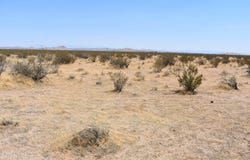 1490 E Wilson Avenue, Mojave, CA 93501