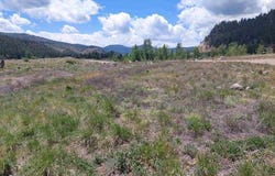 158 Hidden Springs Cir, South Fork, CO 81154