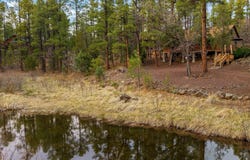 571 W Pine Shadow Drive, Lakeside, AZ 85929