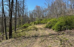 1451 LICKING CREEK ROAD, BIG COVE TANNERY, PA 17212