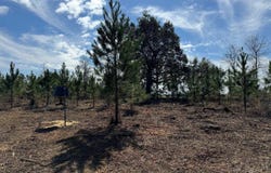 Bright Prospect Rd, Marianna, FL 32448