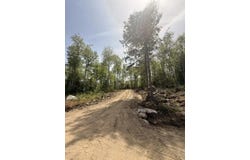 Lot #17 Sunset Cove Way, Orland, ME 04472