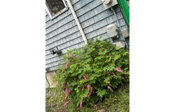 491 W Main Street, Waldoboro, ME 04572