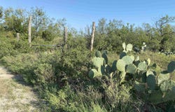 132 Burge, Del Rio, TX 78840