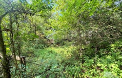 4758 Fowler Creek Road, Covington, KY 41017