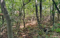 Hi Alta Avenue, Asheville, NC 28806