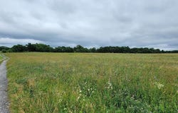 1196 VAN CLEVESVILLE ROAD - LOT#2, KEARNEYSVILLE, WV 25430