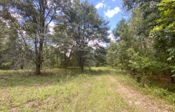 NE Dandelion Street, Madison, FL 32340