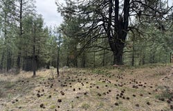 Sunset Loop lot: 16, Cascade, ID 83611