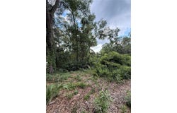 4117 SILVER LAKE DRIVE, PALATKA, FL 32177