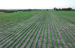 Millstream Avenue, Winterset, IA 50273