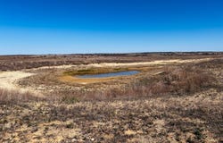 TBD County Road 506, Hamilton, TX 76531