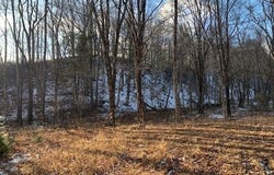 UPPER BACK CREEK RD, MONTEREY, VA 24465