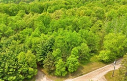 80+/- Acres V/L 140th Ave, Stanwood, MI 49346