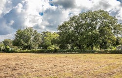 2 Acres Red Fox Road, Tomball, TX 77377