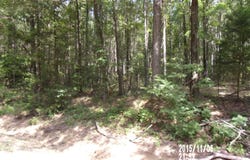 Old Hwy 12, Starkville, MS 39759