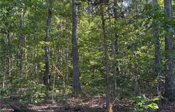 Hewlett Road, Beaverdam, VA 23015