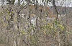 Lot 59 Cumberland Shores, Monticello, KY 42633