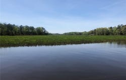 339 Neck O Land RD, Williamsburg, VA 23185