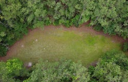 0 Liberty Church Rd, Manning, SC 29102