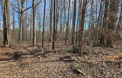 1 Acre St. James Road, Jetersville, VA 23083