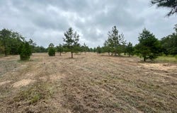 0  Center Ridge Rd, Midway, AL 36053