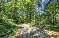 0 Layfield Run Rd, Cairo, WV 26337