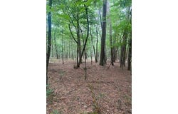 TBD CR 5211, Oark, AR 72852