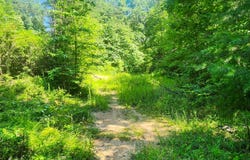 0 Low Gap Road, Robbins, TN 37852