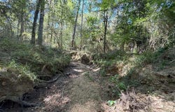 Delaware Avenue, McComb, MS 39648