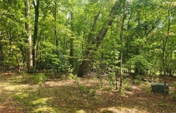 249 Sacred Fire Road, Louisburg, NC 27549
